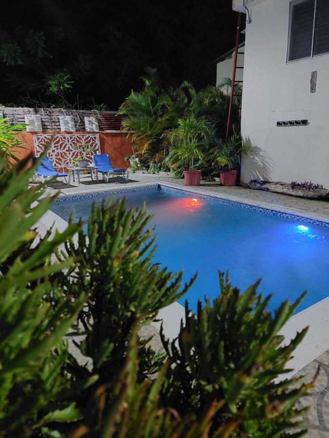 Complejo Villa Las Palmeras Piscina, Billar, Jardin, Bbq @Drvacationsrental Samana Luaran gambar