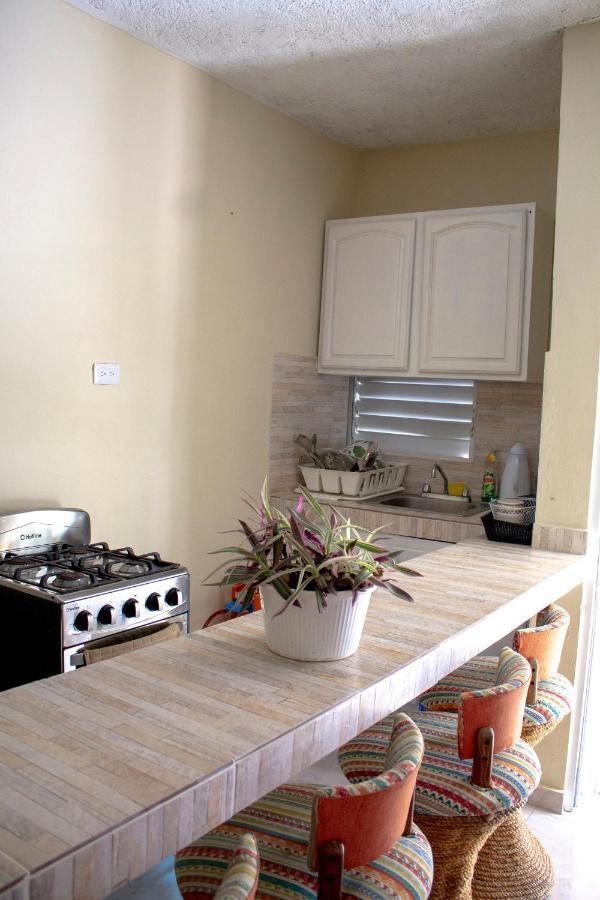 Complejo Villa Las Palmeras Piscina, Billar, Jardin, Bbq @Drvacationsrental Samana Luaran gambar